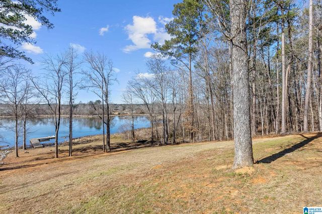 825 COVE ROAD, Sylacauga, AL 35151