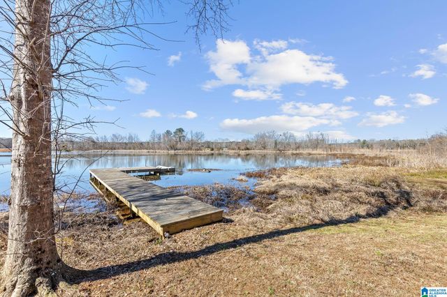 825 COVE ROAD, Sylacauga, AL 35151