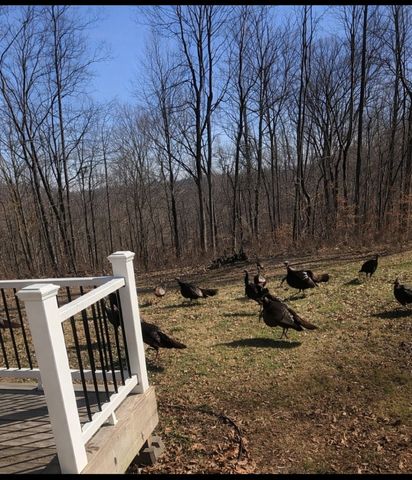 351 Rippy Ridge Rd, Normandy, TN 37360