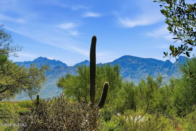 13218 N Pioneer Way, Oro Valley, AZ 85755