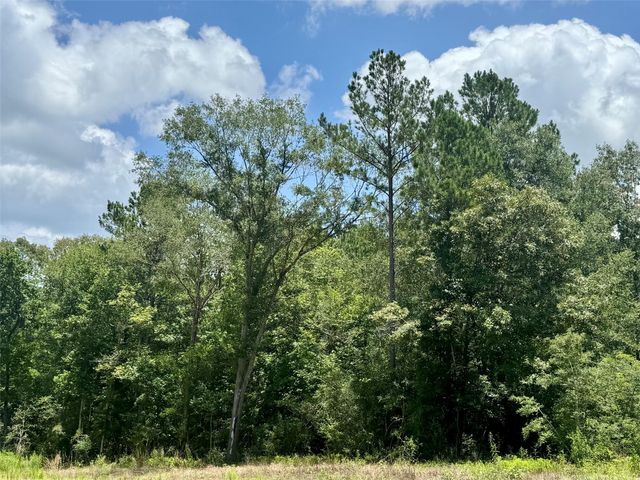 TBD Riverstone Drive, Livingston, TX 77351