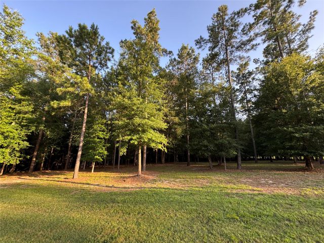 TBD Riverstone Drive, Livingston, TX 77351