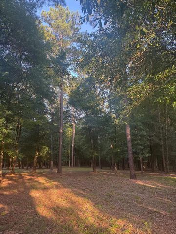TBD Riverstone Drive, Livingston, TX 77351