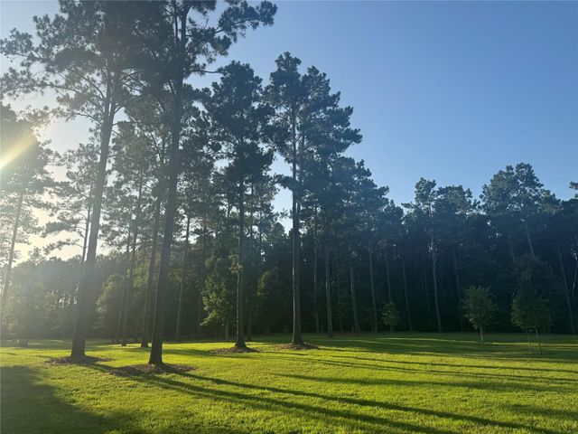 TBD Riverstone Drive, Livingston, TX 77351