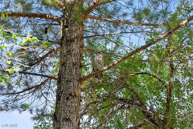 2221 West Windsong Lane, Pahrump, NV 89048