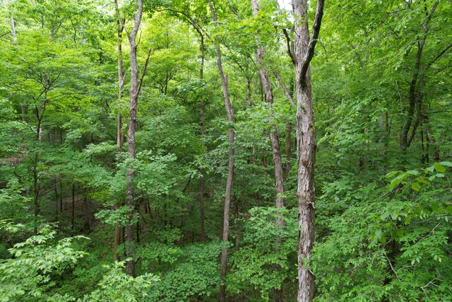 00 Murphy Hollow, Trenton, GA 30752