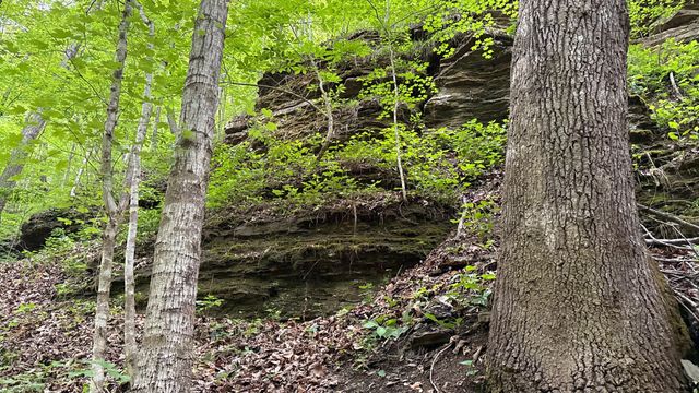 00 Murphy Hollow, Trenton, GA 30752