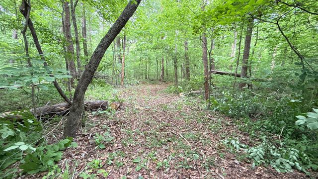 00 Murphy Hollow, Trenton, GA 30752