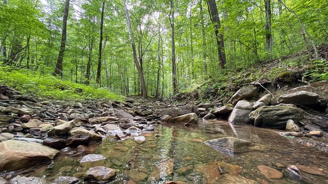 00 Murphy Hollow, Trenton, GA 30752