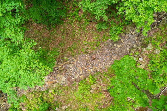 00 Murphy Hollow, Trenton, GA 30752