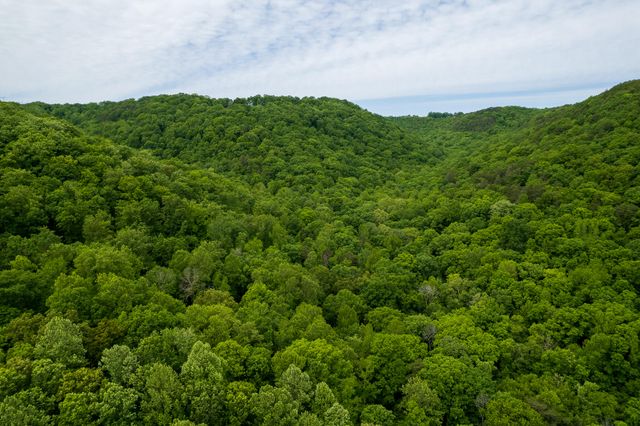 00 Murphy Hollow, Trenton, GA 30752