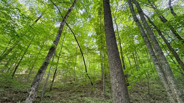 00 Murphy Hollow, Trenton, GA 30752