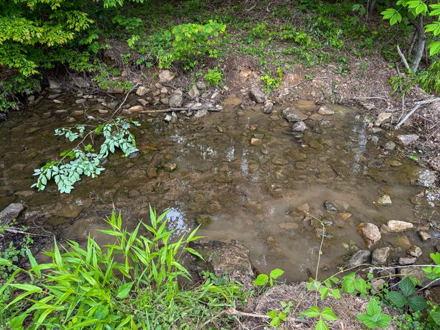 00 Murphy Hollow, Trenton, GA 30752