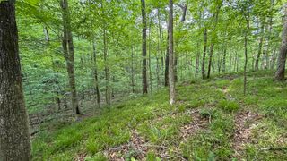 00 Murphy Hollow, Trenton, GA 30752