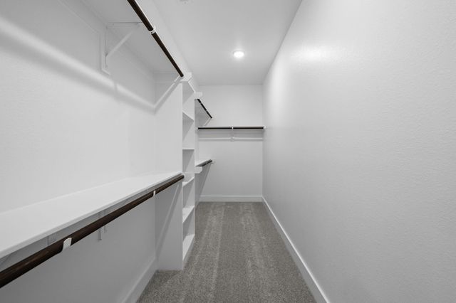 309 Gambels Quail Road, Waller, TX 77484