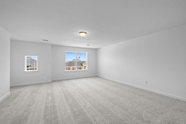 309 Gambels Quail Road, Waller, TX 77484