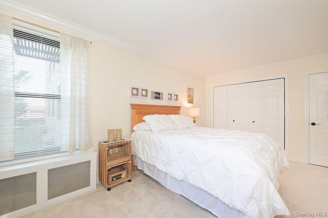 4 Birchwood Court 1O, Mineola, NY 11501