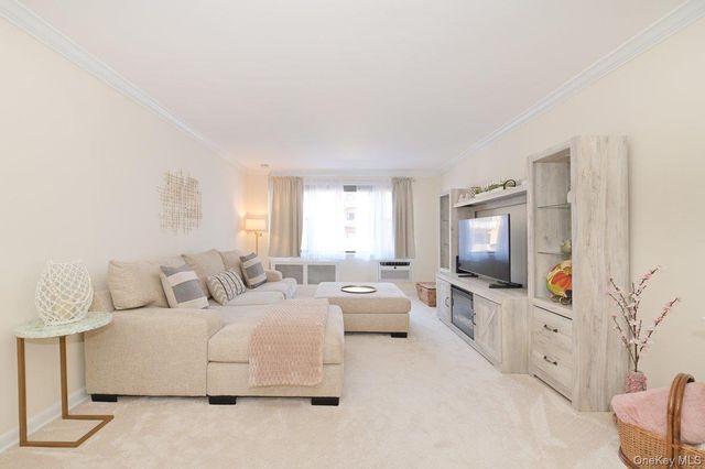 4 Birchwood Court 1O, Mineola, NY 11501