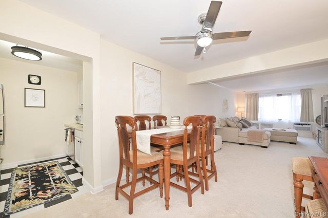 4 Birchwood Court 1O, Mineola, NY 11501