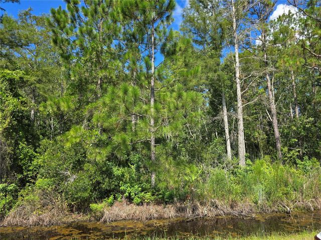 CRABGRASS ROAD, St Cloud, FL 34773
