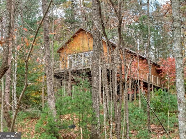 175 Big Creek Vista, Blue Ridge, GA 30513
