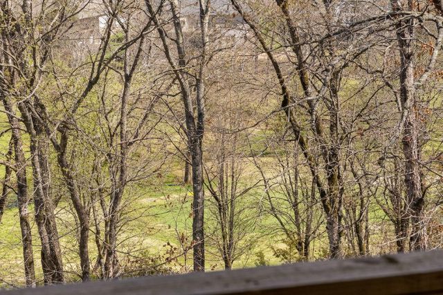 1209 Ledgestone Circle, Branson West, MO 65737