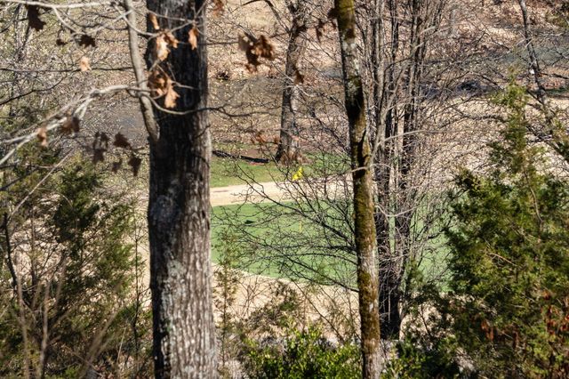 1209 Ledgestone Circle, Branson West, MO 65737