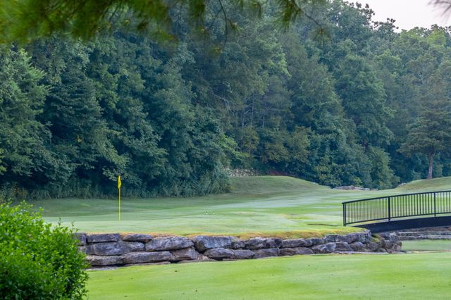 1209 Ledgestone Circle, Branson West, MO 65737