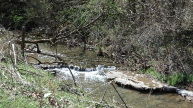 78 ac Baugh Hollow Rd, Gainesboro, TN 38562
