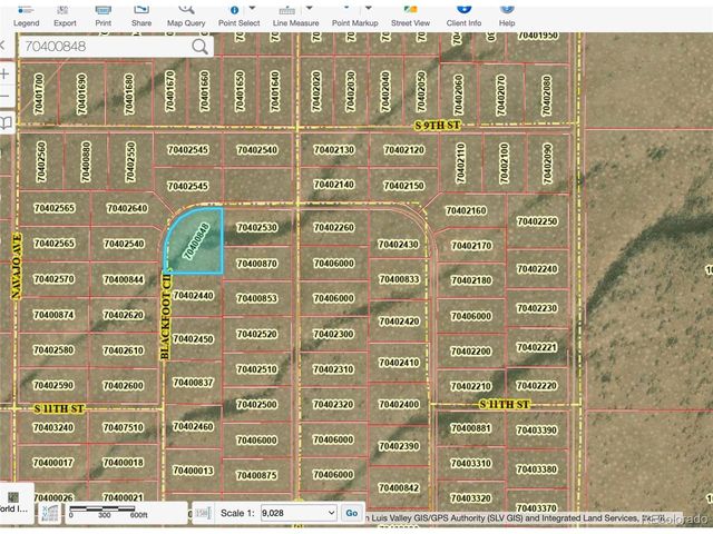 1 Blackfoot Cir, Blanca, CO 81123