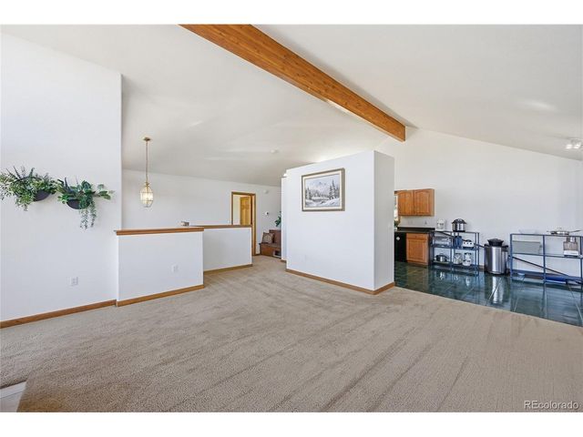 146 S Random Rd, Bailey, CO 80421