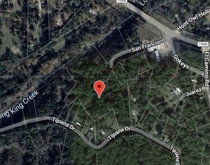 207 San Francisco, Goodrich, TX 77335