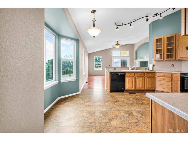 1048 Switch Grass Dr, Castle Rock, CO 80109