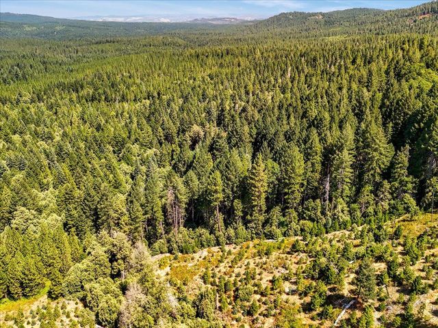 17079 Balboa Trl, Challenge, CA 95925