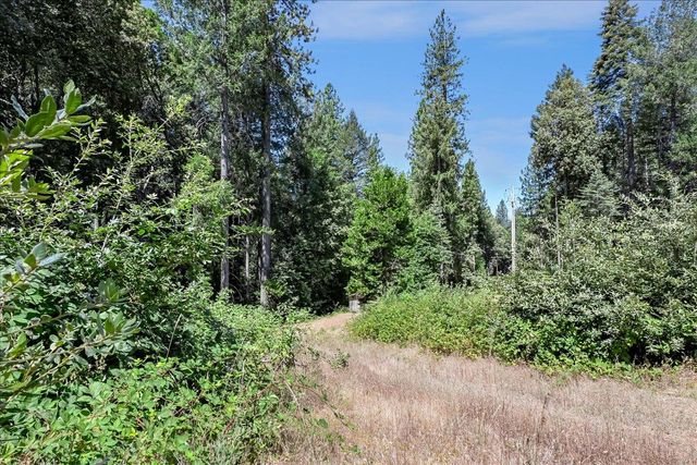 17079 Balboa Trl, Challenge, CA 95925