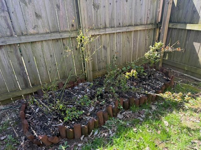 3610 Stamper Drive, Winchester, KY 40391