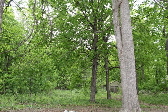 1225 102nd Avenue, Plainwell, MI 49080