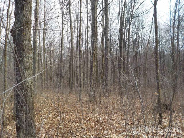 127 Panick Road, Iron River, MI 49935