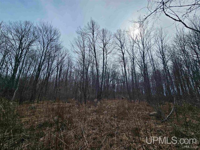 127 Panick Road, Iron River, MI 49935