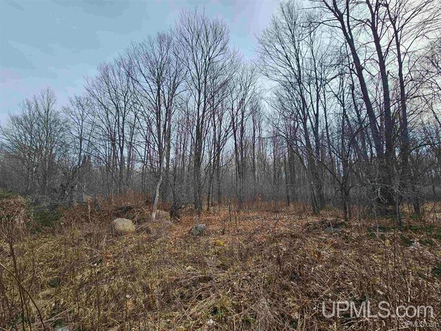 127 Panick Road, Iron River, MI 49935