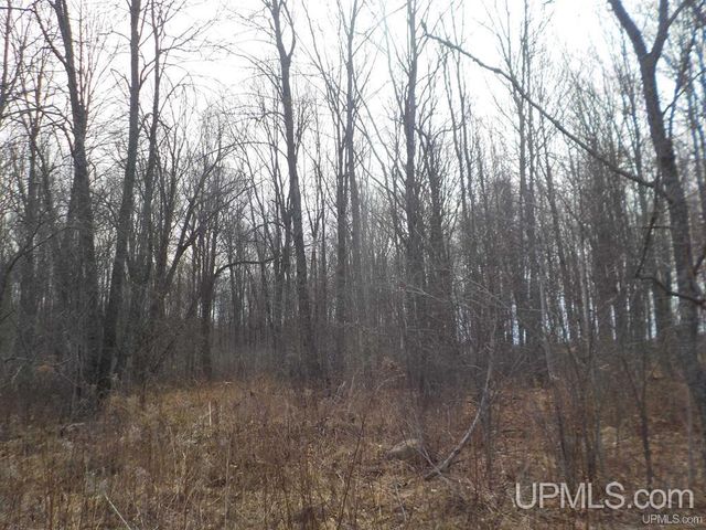 127 Panick Road, Iron River, MI 49935