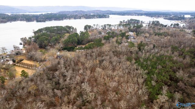 9.39 acres Winn Road, Scottsboro, AL 35769