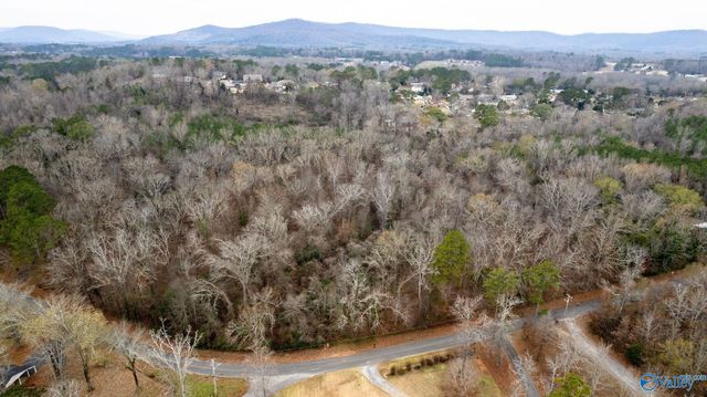 9.39 acres Winn Road, Scottsboro, AL 35769