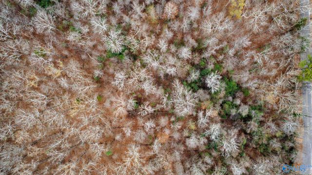 9.39 acres Winn Road, Scottsboro, AL 35769