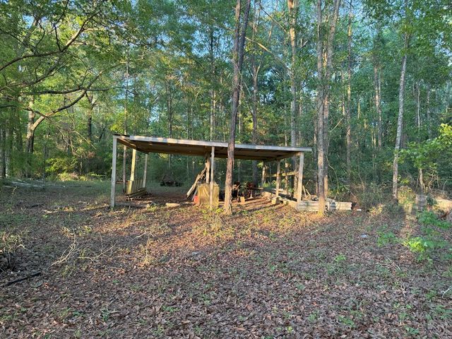 212 Man Hall Rd, Dothan, AL 36305