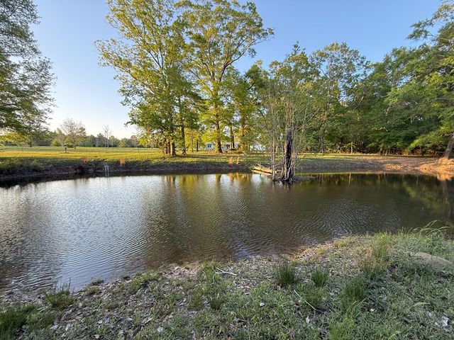 212 Man Hall Rd, Dothan, AL 36305