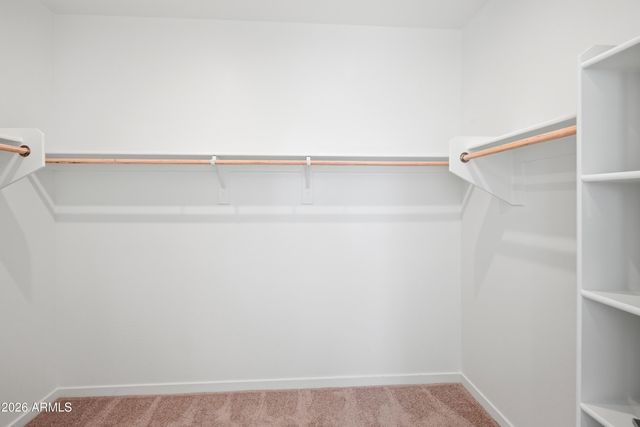 4919 S 239th Drive, Buckeye, AZ 85326