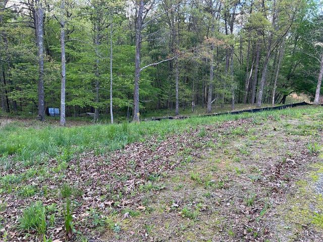 1658 Pleasant Hill, Blairsville, GA 30512
