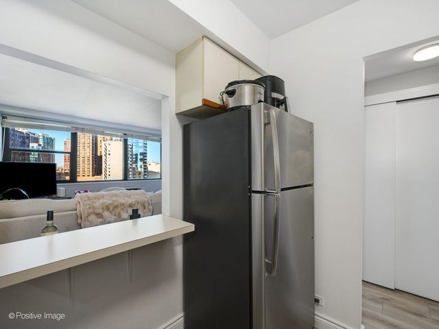 1150 N Lake Shore Drive 13L, Chicago, IL 60611