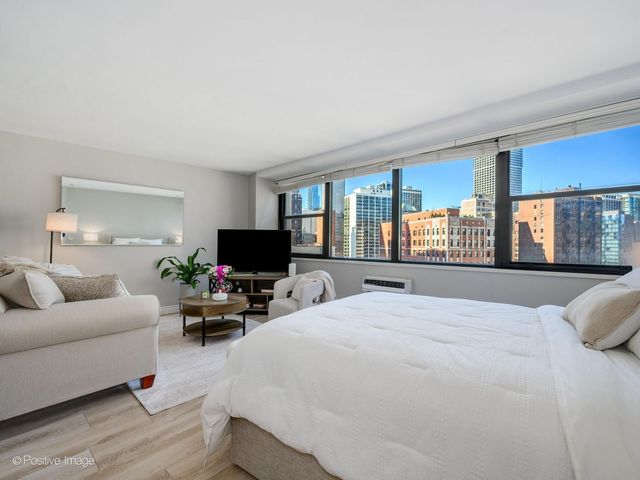 1150 N Lake Shore Drive 13L, Chicago, IL 60611